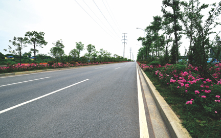 赣州市章贡经济开发区（南区）采茶路工程